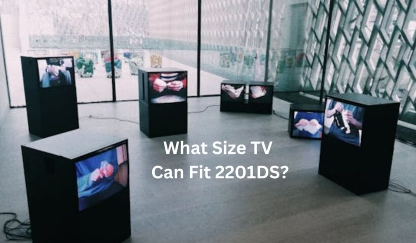 what size tv can fit 2201ds