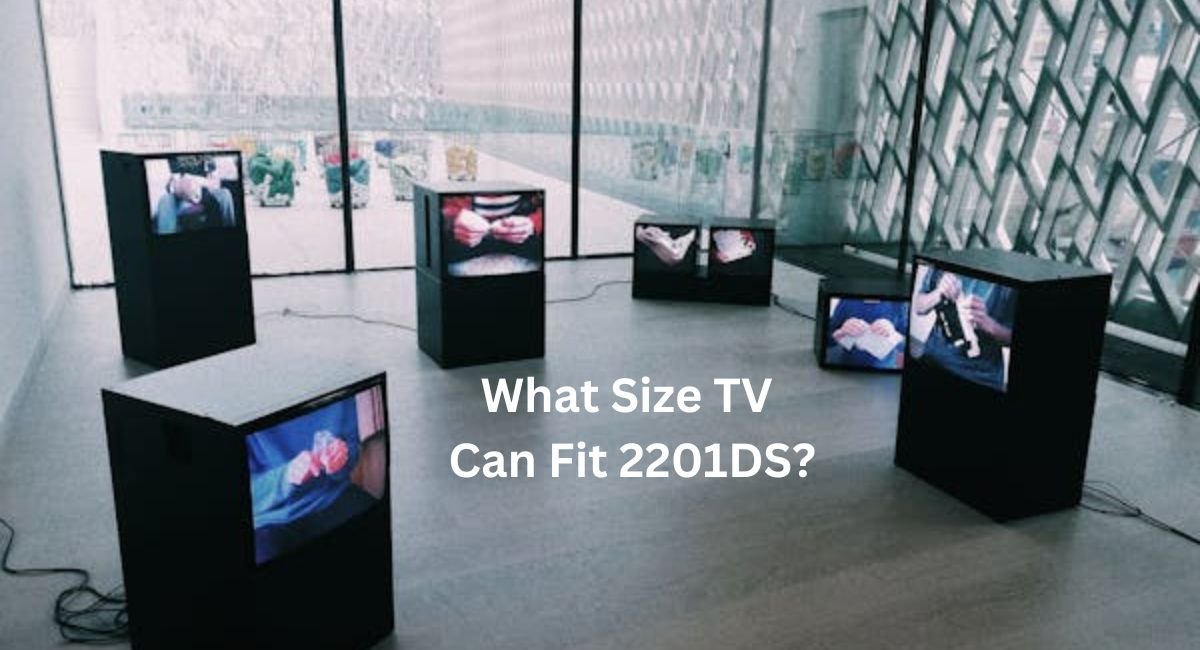 what size tv can fit 2201ds