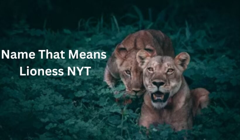 name that means lioness nyt