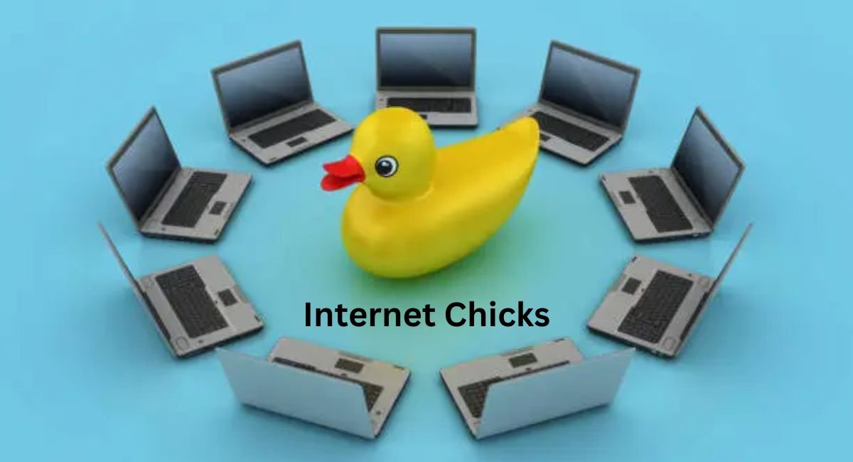 internet chicks